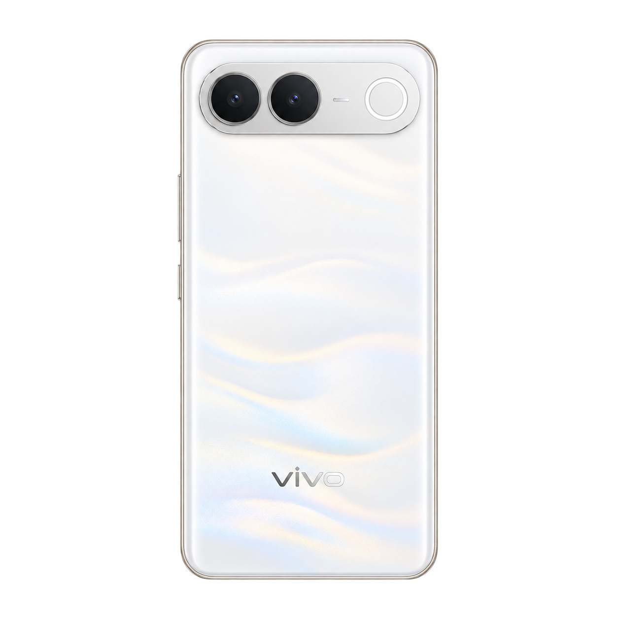 vivo S2